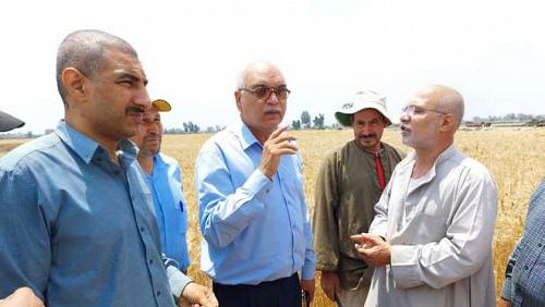 Agriculture intensifies its efforts to facilitate the supply of wheat