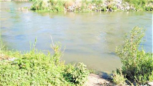 URGENT found an unknown body for a young man in the Nile water in the coast