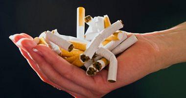 Egypts tobacco imports continue to decline in March
