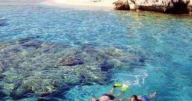 Abu Mabar and Jftoun Islands receives marine trips an alternative to closed beaches