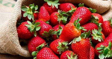 $ 10 million an increase in Egyptian strawberry exports last December