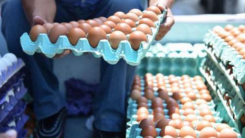 The price of egg carton today Thursday 892022 in Egypt
