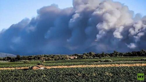 One person was killed and 27 injured in French Riviera forests fires