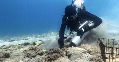 The discovery of a 6000yearold area of satellite images off Croatia Coast