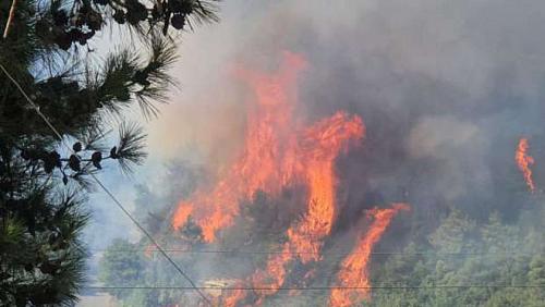 Official and popular efforts to control Lebanons forest fires amid doubts about their fiction