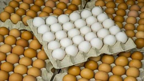 High white egg prices and a dish up to 40 pounds