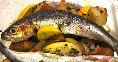 Sardine is not just thickness will not believe its health benefits highlighted by bone building