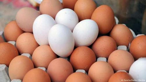 Municipal 48 stable prices of eggs in shops despite falling farms