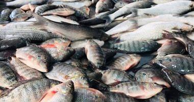 Egyptian imports from fish fell to 945 million pounds in one month