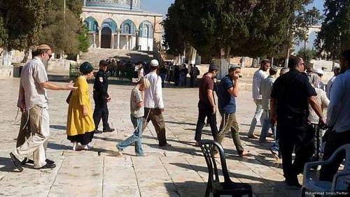 Settlers storm the maximum and the campaign of raids and arrests in the cities of Palestine