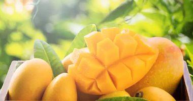 Mango during pregnancy protects against high blood pressure and supports your childs growth