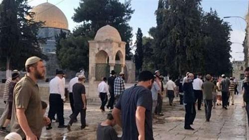 Settlers break into AlAqsa Mosque with the protection of the occupation police