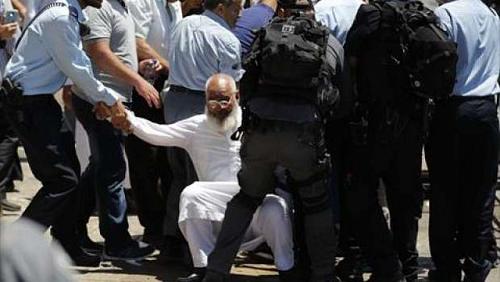 Israeli police arrests 5 Palestinians after renewed protests in Sheikh Jarrah