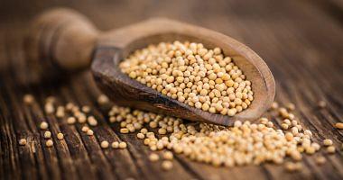 Benefits of using mustard seeds for fast and healthy