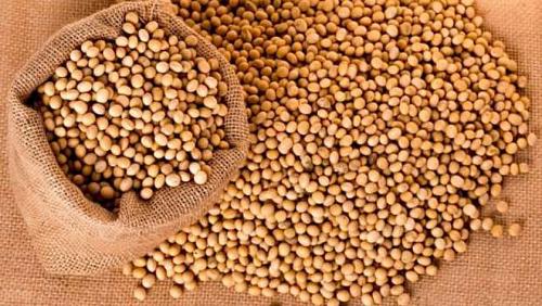 The high prices of soybeans globally due to climate changes