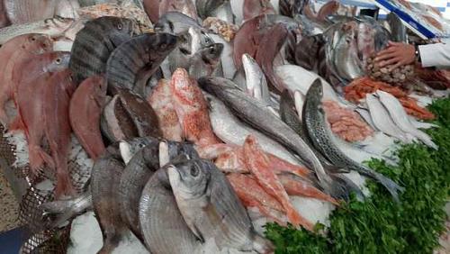 The stability of fish prices in the wholesale markets today with 27 pounds