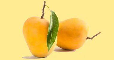7 health benefits for Mango leaves highlighted weight loss