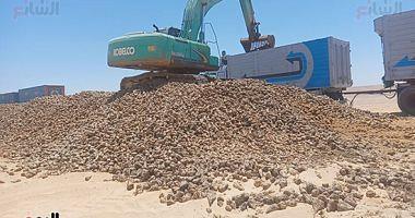 Harvest 20 thousand acres of sugar beet west of Minya within the project of 15 million acres and pictures