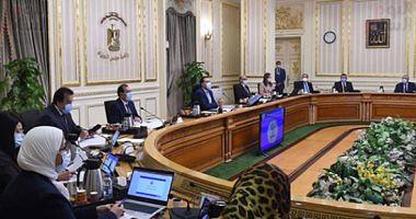 The Cabinet denies the use of banned antibiotics in poultry farms in Egypt