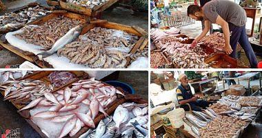 Learn about fish prices today in the crossing market for the sentence