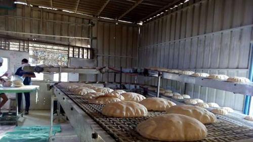 Supply today the beginning of separation of bread in 3 governorates
