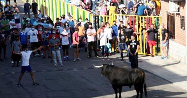 Spain hosts the first bullfest since the beginning of Corona pandemic