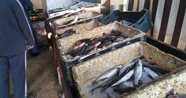 Fish Division reveals prices in the market today