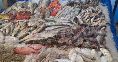 Fish prices in Egypt today are marked stability for all varieties