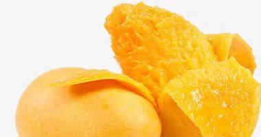 Is mango is suitable for those who follow a food diet for weight loss