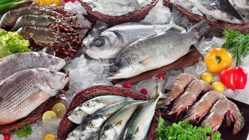 Fish prices in the Obour market on Saturday up to 460 pounds