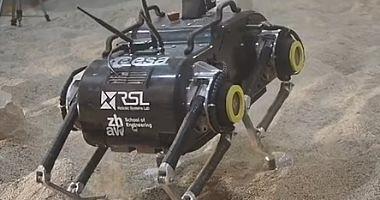 Learn about the first robot can walk four legs on Mars Photos and Videos