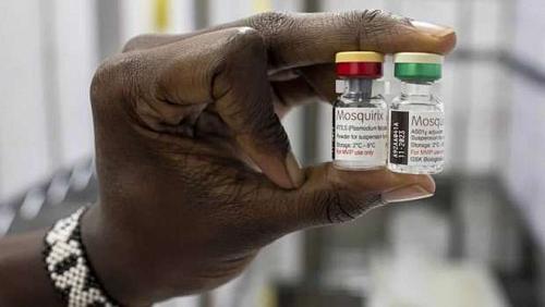 Oxford University creates a new vaccine for malaria and promising results