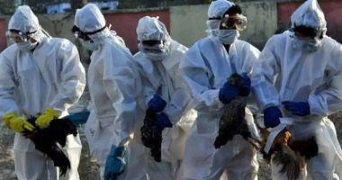 H10N3 bird flu after Chinas announcement is the first case of virus