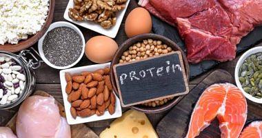 5 Things you should know before you follow a rich in protein system