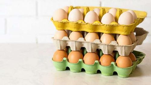 The price of egg carton today Saturday 682022 in Egypt