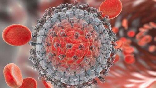 Hepied viruses Healing from C virus exceeds 90 provided