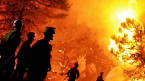 Forest fires Algeria tournaments and pains in pictures