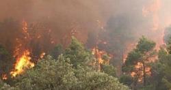 اندلاع حريق جديد فى منطقه جبال القدس بالقرب من المستوطنات الاسرائيليه