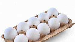 أسعار طبق البيض في السوق المحلي اليوم الأربعاء 29 يونيو 2022