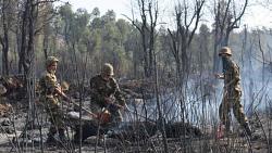 في الجزائر دمرت حرائق الغابات 5000 هكتار من الأراضي وقتلت 90 شخصا