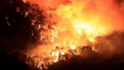 تواصل حرائق الغابات في تركيا قتل 8 وتدمير منتجعات ساحليه