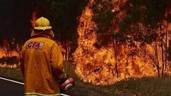 استمرار حرائق الغابات في كاليفورنيا ومحاولات لحمايه اشجار السيكويا