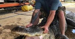 صياد امريكي يعثر على معدات تعود الى الاف السنين داخل تمساح عملاق صور