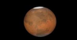 كوريوسيتي تعثر على سحليه صخريه صغيره على سطح المريخ!