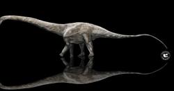 دراسه جديده تكشف عن اطول ديناصور على الاطلاق فى التاريخ