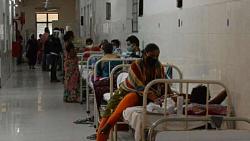 وفاه 50 شخصا سبب الفطر الاسود في ولايه هنديه و650 يتلقون العلاج و دواء