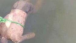 بشكل عاجل العثور على جثة شاب يغرق في مياه نهر النيل بحلوان