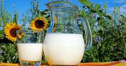أظهرت دراسة في المملكة المتحدة أن الكميات الكبيرة من الحليب لن تزيد من نسبة الكوليسترول