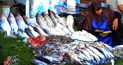 استقرت أسعار الأسماك في سوق العبور بالجملة يوم الاثنين