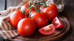 سعر الطماطم في الاسواق اليوم تبدا من 3 جنيهات